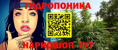 стаф Славгород